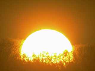 sunrise.jpg